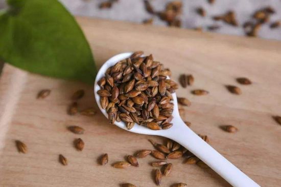 大麥茶上火嗎，喝大麥茶會(huì)不會(huì)上火？