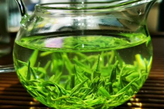 喝黃金茶禁忌，什么人不能喝黃金芽茶？