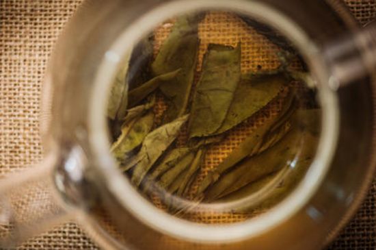 苦丁茶副作用，苦丁可以經(jīng)常喝嗎？