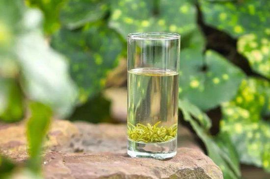 碧螺春沖泡三要素，碧螺春怎么泡才正確？