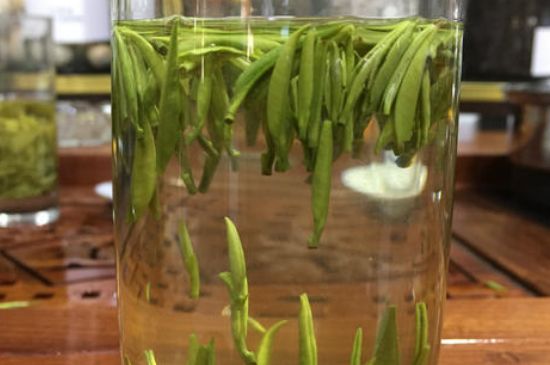 雀舌茶的副作用，雀舌茶什么人不能喝？