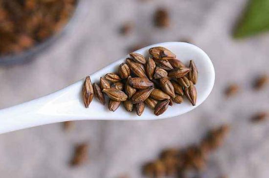 飯店的大麥茶為什么那么香，自己泡的蕎麥茶沒飯店香