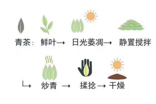 茶葉名稱大全和圖片，茶葉名字大全三四個字！