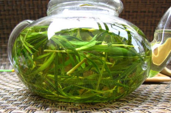 竹葉茶的禁忌，竹葉泡茶的功效禁忌