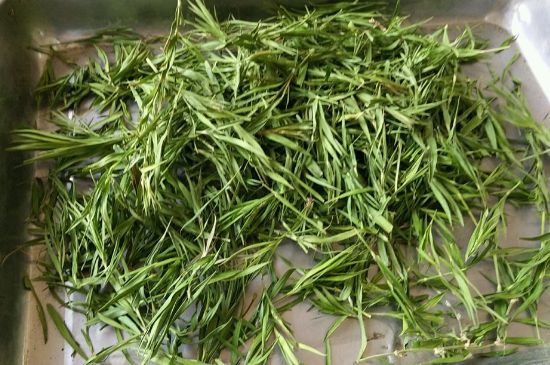 哪類人不適合喝石竹茶，石竹茶的功效與禁忌