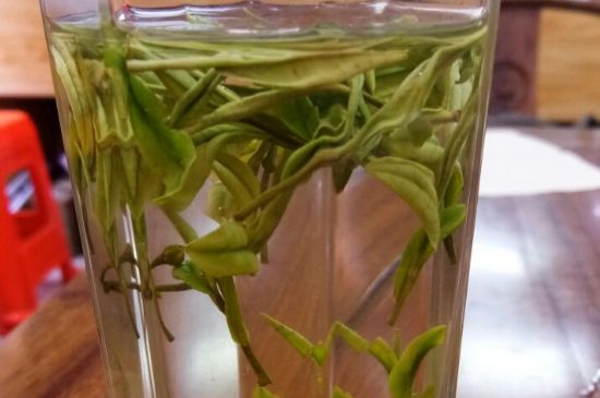 云霧綠茶的功效及禁忌，哪些人不適合喝云霧茶