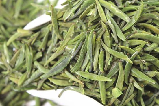 雀舌茶什么人不能喝，雀舌茶的功效與禁忌