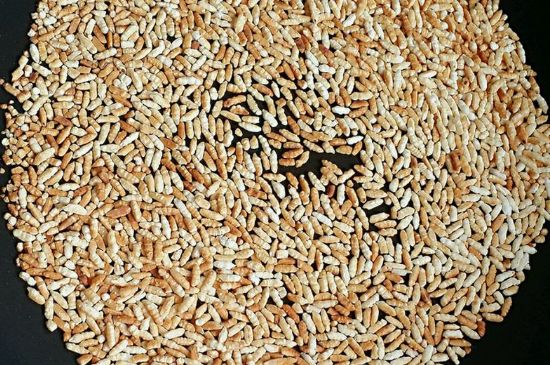 玄米茶是紅茶嗎，玄米茶怎么喝