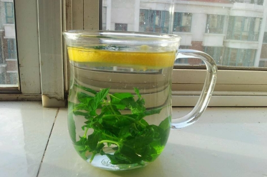 薄荷茶的功效與作用，喝薄荷茶有什么好處？