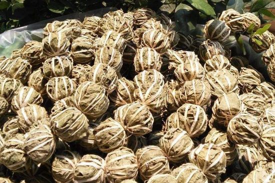 鷓鴣茶的禁忌，海南鷓鴣茶副作用