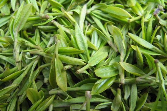 世界最貴的茶葉排行榜，十大最貴的茶