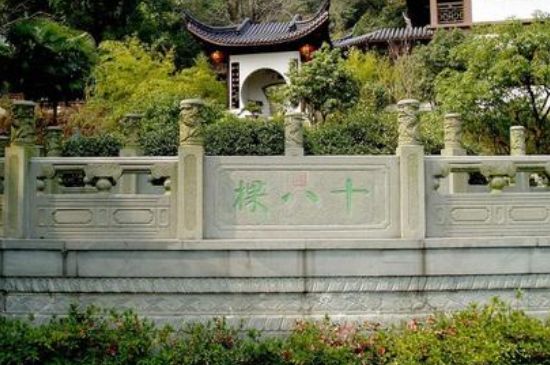 世界最貴的茶葉排行榜，十大最貴的茶