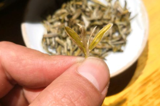 六大茶類(lèi)哪種適合長(zhǎng)期存放，日常如何保存方法一覽？