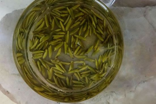 茶葉在哪里買比較好，哪里能買到好的茶葉