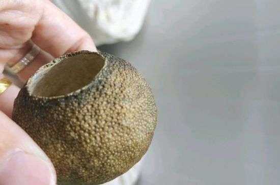 小青柑多少錢一盒，新會(huì)小青柑普茶價(jià)格一斤多少