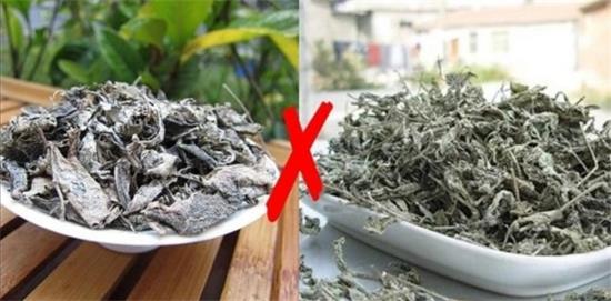 張家界茅巖莓茶與藤茶是同一種茶嗎，藤茶跟莓茶一不一樣？