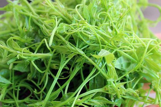 茅巖莓茶別名是什么，莓茶別名叫藤茶嗎？