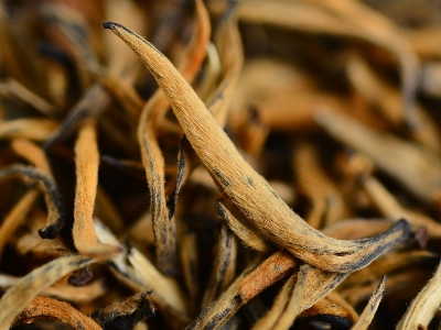 怎么知道什么茶葉適合自己，怎么判斷自己適合喝什么茶？