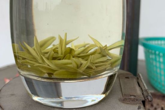 安吉白茶耐寒嗎，白茶適合放冰箱嗎