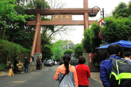 杭州買龍井茶攻略，怎么買到正宗的西湖龍井？