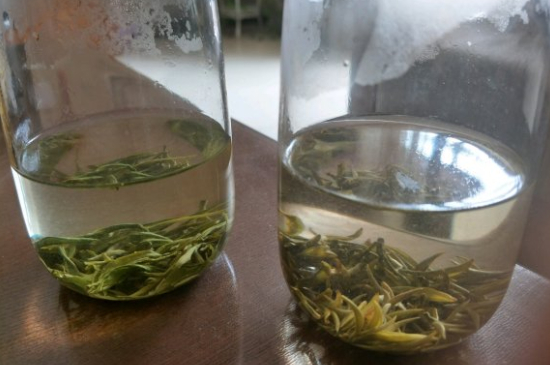 真假碧螺春泡水后區(qū)別，蘇州洞庭碧螺春怎樣鑒別好壞？