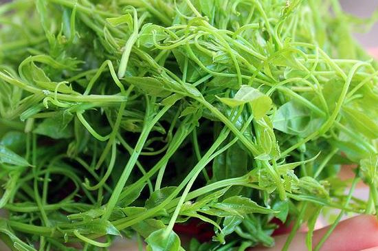 茅巖莓茶保質(zhì)期有多久，張家界莓茶存放時(shí)間長(zhǎng)了還能喝嗎？