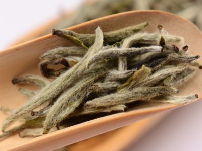 白毫銀針放幾年最好，白毫銀針什么年份最好？