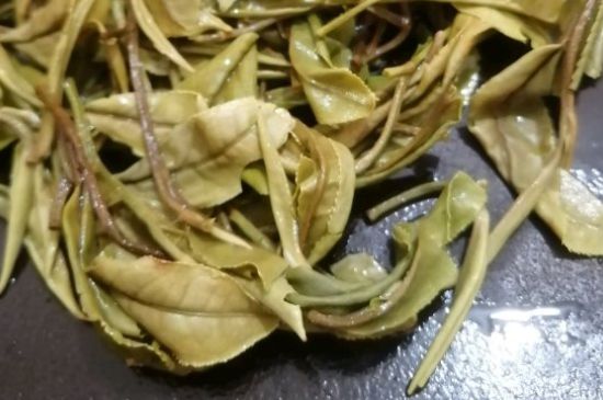 春茶上市白茶的好壞怎么區(qū)分，春白茶怎么分辨好不好？