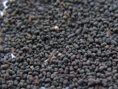 圓形顆粒狀茶是什么茶，像飼料一樣一粒粒的是什么茶？