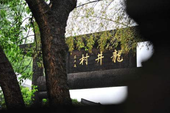 杭州買龍井茶攻略，怎么買到正宗的西湖龍井？