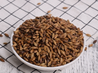 圓形顆粒狀茶是什么茶，像飼料一樣一粒粒的是什么茶？