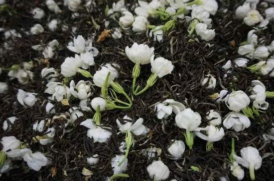 茉莉龍珠怎么做的，茉莉龍珠的制作工藝