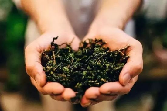 茶葉怎么炒制才香，怎樣炒茶葉更香？