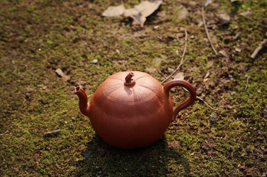 紫砂壺泡什么茶最佳，紫砂壺一般泡什么茶？