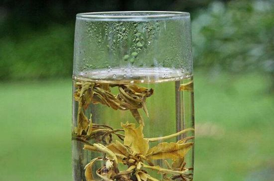 茉莉龍珠什么人不能喝，茉莉龍珠茶什么體質(zhì)不能喝？