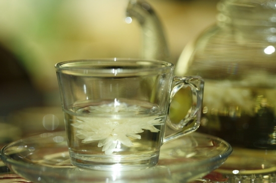 菊花茶天天喝行嗎，每天喝菊花泡茶喝好嗎？