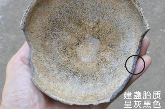 假建盞的特點(diǎn)，真假建盞區(qū)分帶圖