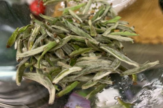 蒸汽煮茶器適合什么茶，蒸汽煮茶器適合用綠茶嗎？