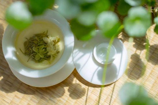 茉莉花茶6種人不要喝，什么體質(zhì)不適合喝茉莉花茶？