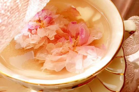 玫瑰花茶一周喝幾次，玫瑰花茶可以天天喝嗎？