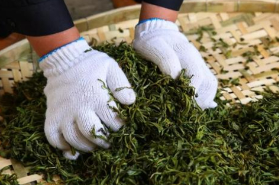 綠茶加工工藝流程圖，綠茶的加工制作包含哪幾個(gè)步驟？
