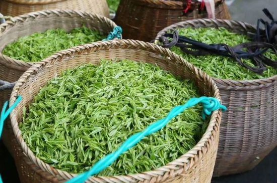 茶葉怎么炒制才香，怎樣炒茶葉更香？