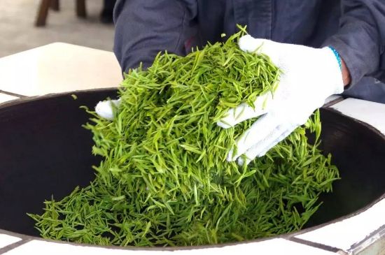 自家炒茶葉怎么炒，自己炒茶葉的步驟