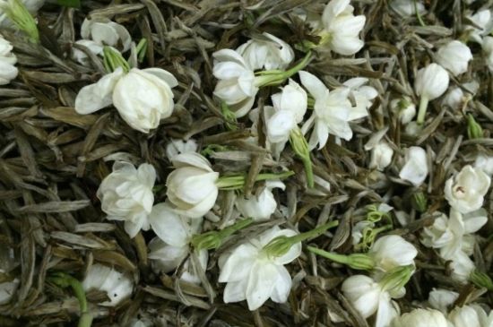 茉莉銀針口感，茉莉銀針是什么味道？