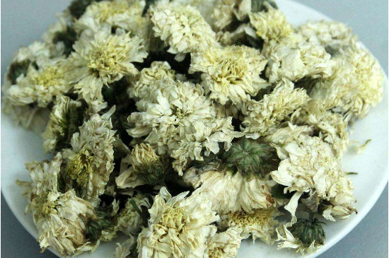 菊花茶買(mǎi)小朵還是大朵，泡茶用的小菊花和大菊花哪個(gè)好