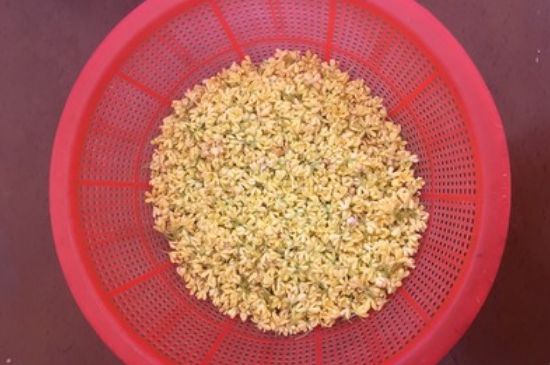 干桂花茶的制作方法，怎樣自制桂花茶？