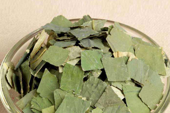 荷葉茶每天喝多少合適，什么時候喝最好？