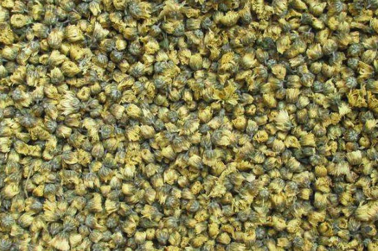 菊花茶大朵小朵有什么區(qū)別，菊花喝大朵還是小朵？