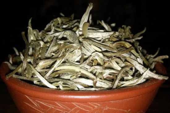 茉莉花茶6種人不要喝，什么體質(zhì)不適合喝茉莉花茶？