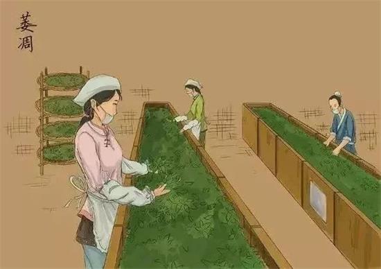 制茶八步驟，制茶工藝流程圖